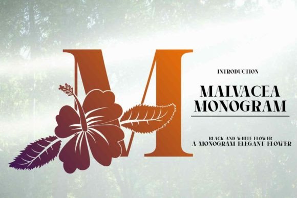 Malvacea: A Premium Font for Distinctive Design